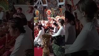 Download lagu Bule Main Gamelan | Bali Gamelan Played By European #gamelan #shorts #traditionalmusicindonesia mp3
