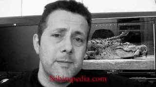 God and The Crocodile - The Gorilla199 Channel