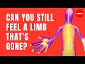 Can you still feel a limb that's gone? - Joshua W. Pate