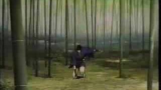 X Japan-Drain (Anime Music Video-Ninja Scroll)