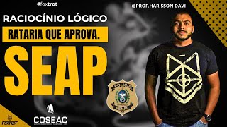 RACIOCÍNIO LÓGICO NA SEAP: RATARIA QUE APROVA :BANCA COSEAC - PPRJ - SEAP RJ