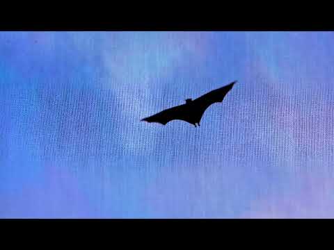 Milton Nascimento, esperanza spalding - Get It By Now  (Official Audio)