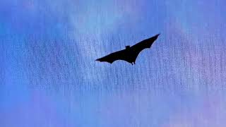 Milton Nascimento, esperanza spalding - Get It By Now  (Official Audio)