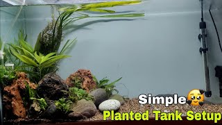 Simple Planted Tank Setup | Beginner Planted Aquarium #plantedtank