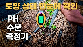 토양 pH 측정기 진짜 필요할까? 써보고 느낀 점 공유 토양측정기 단돈 7천원 
