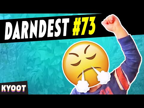 Say The Darndest Things 73 | Funny Videos 2020