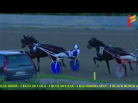 VI Corsa del 27 Novembre 2021 - 4 Anni - Metri 1600 - Gara Centrale