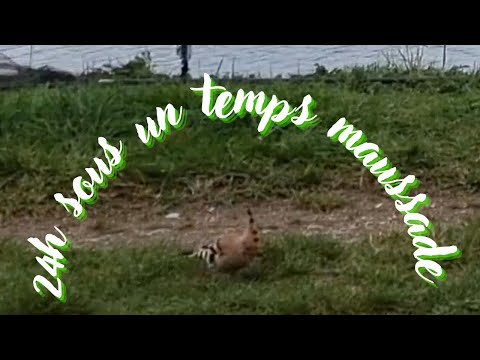 24h sous un temps maussade