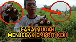 Download lagu CARA MUDAH MENJEBAK EMPRIT KAJI MENGGUNAKAN MP3 mp3