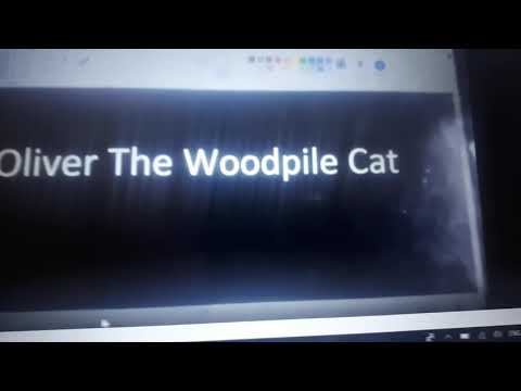 Oliver The Woodpile Cat Cast Video