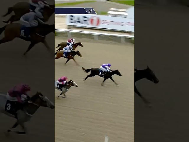 Thumbnail for Post ID: KdlDnAnIqno