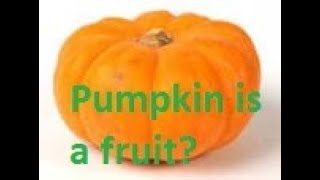 Pumpkin is a fruit not veggie