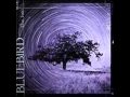 Shedding Skin - Bluebird