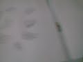 KLasKY CSUPO ROBOT LOGO SPLAAT