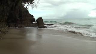 preview picture of video 'Пляжи Доминиканы. Пляж Косон (Coson) в городе Лас Терренас'
