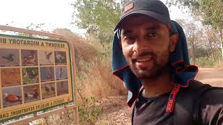 Download lagu Sukhna Lake Bio-diversity and Migratory bird life in Sukhna Lake |@rajattravelogue mp3