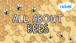 All About Bees for Kids | Why are bees important? | Different Types of Bees | Twinkl USA gameplay video by kellysilvernail, 5:40 duration