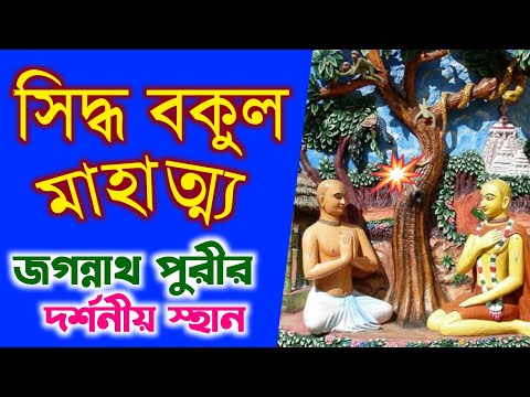 siddha bakul tree puri mahatmya in bengali lecture by hh bhakti prachar paribrajak swami maharaj
