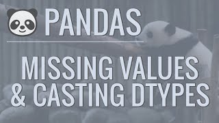 Python Pandas Tutorial (Part 9): Cleaning Data - Casting Datatypes and Handling Missing Values