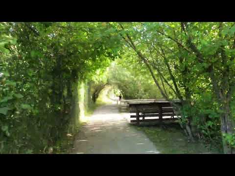 Biking at Fort to Fort Trail from Fort Langley Town center to Derby Reach Regional Park July 11,24