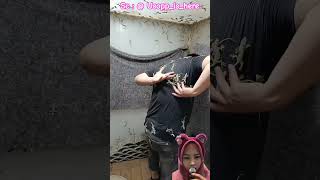 Download lagu There are so many lizards on his shirt 😱‼️ mp3 Download lagu There are so many lizards on his shirt 😱‼️ mp3
