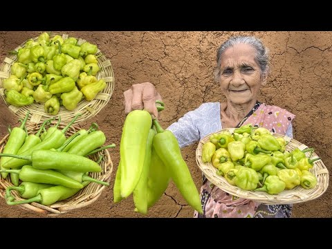 Stuffed Banana Pepper Tomato Curry
