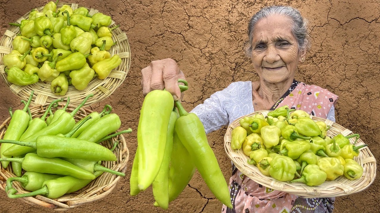 Stuffed Banana Pepper Tomato Curry