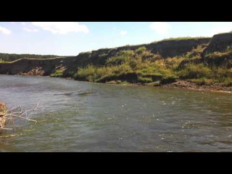 Raul Siret, Probota, Suceava, August 2014