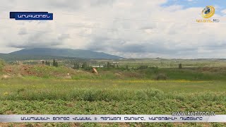 Անսպասելի ցուրտը վնասել է պտղատու ծառերը, կարտոֆիլի դաշտերը. գյուղացիները եկամտի հույս այլևս չունեն