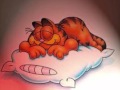 GARFIELD Wmv