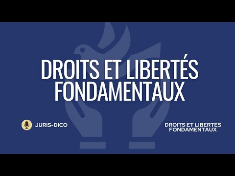 Les droits fondamentaux