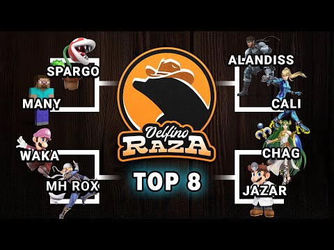 Delfino Raza 2025 | Smash Ultimate Top 8