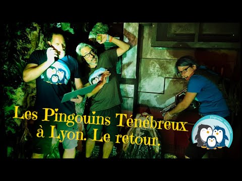 Aperçu de la vidéo