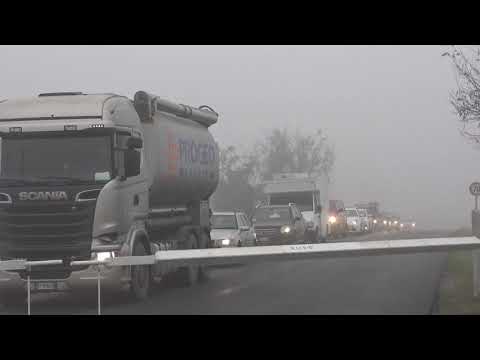 "Anche Mantova segua Cremona su raddoppio e Recovery Plan", 21 gennaio 2021