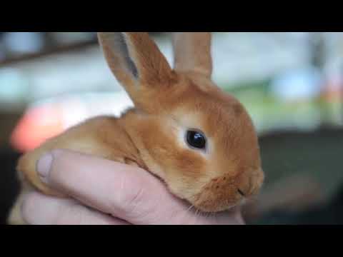 Let's Learn About Spring