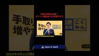 #国民民主党 #玉木雄一郎 #減税 #ガソリン補助金