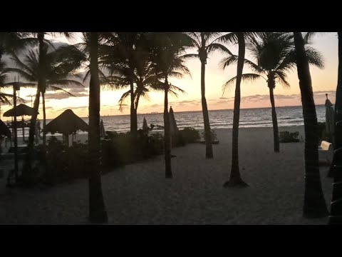 Videos del Sandos Playacar 5★ en Playa del Carmen, México
Ver Más
Ver
Precios
21
Cerrar
Consulta por Whatsapp 🇦🇷
Booking
Tripadvisor
Expedia
Agoda
Travelocity
Orbitz
Priceline
Trip
Skyscanner
Despegar
Kayak
Hoteles
Bestday
Destinia
Trivago
Turismocity
Almundo
Lastminute
Hotwire
Cheaptickets
Tui