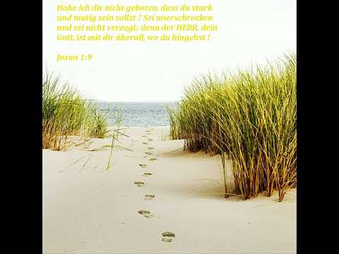 Karl-Hermann Kauffmann - Sorgen