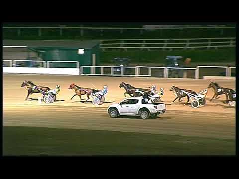 Trotto 21/08/2020 - 2ª corsa