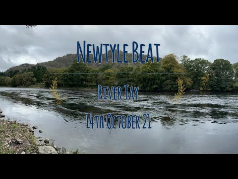 Newtyle 14th Oct 21