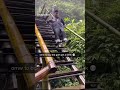 Man Falling Down Stairs And Then Crying