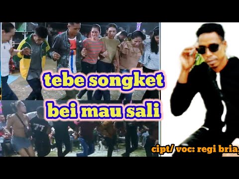 TEBE SONGKET BEI MAU SALI TERBARU•||CIPT/ VOC: REGI BRIA,