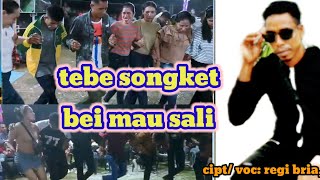 Download lagu TEBE SONGKET BEI MAU SALI TERBARU•||CIPT/ VOC: REGI BRIA, mp3