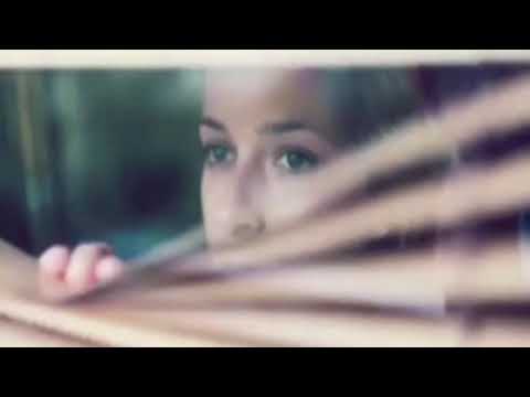 Volveremos A Brindar video