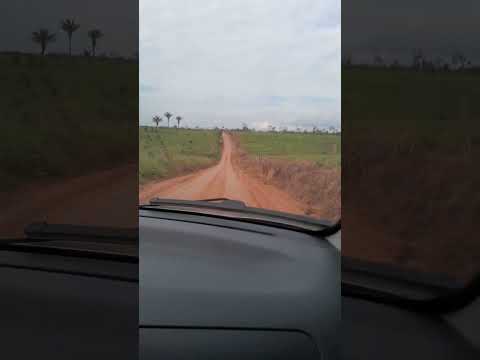 Fazenda boi não berra - Ramal do Cutuvelo bujari acre