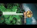 Best Jungle Resorts In India Make Every Spend Count With InterMiles