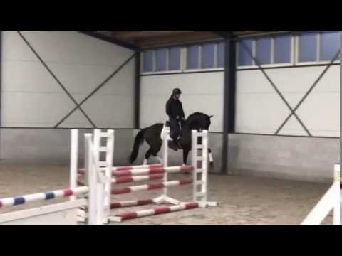 DonManhattan: Don Nobless x Manhattan