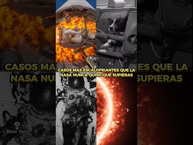 Vídeo relacionado con Stella, la astronauta (Animales Exploradores)