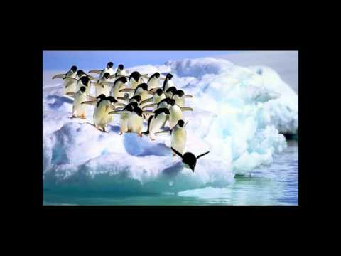 Hiroki Nagamine - Ark. Bird (Original Mix)