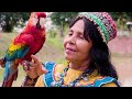 Shipibo Shaman Elisa Vargas Fernandez singing an Icaro to the plants of the jungle (Gentle Rain):